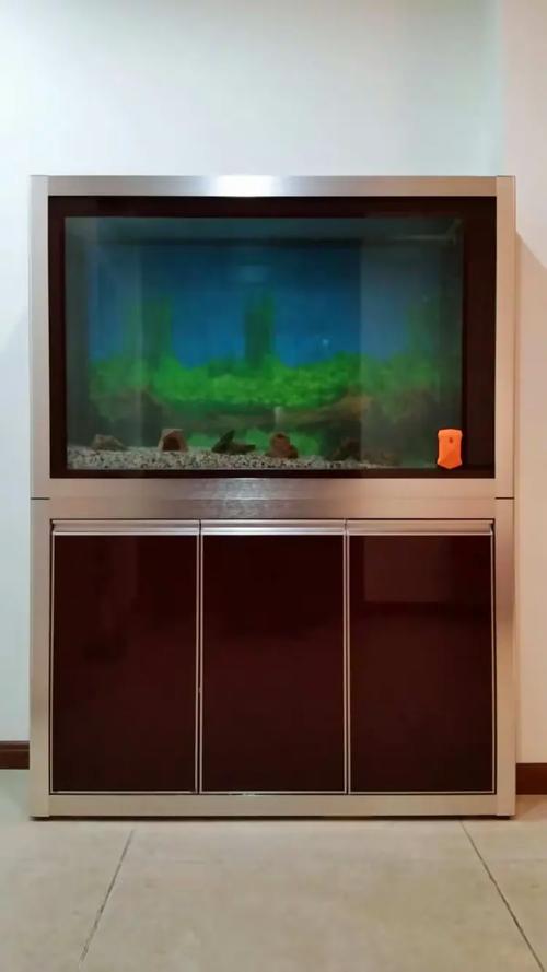 百晶坊專業(yè)水族定制工廠 匠心打造高端水族生態(tài)