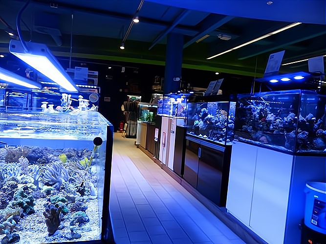 水族店店_水族店,專業(yè)指導(dǎo)讓你輕松創(chuàng)業(yè)!水族店店費(fèi)